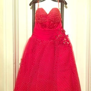 Vintage Red Tulle Party Dress